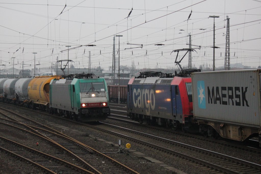 Sogar eine Begegnung am 17/02/2012 war mglich mit der 186 247-3 und einer 185 SBB Cargo im Gbf in Paderborn