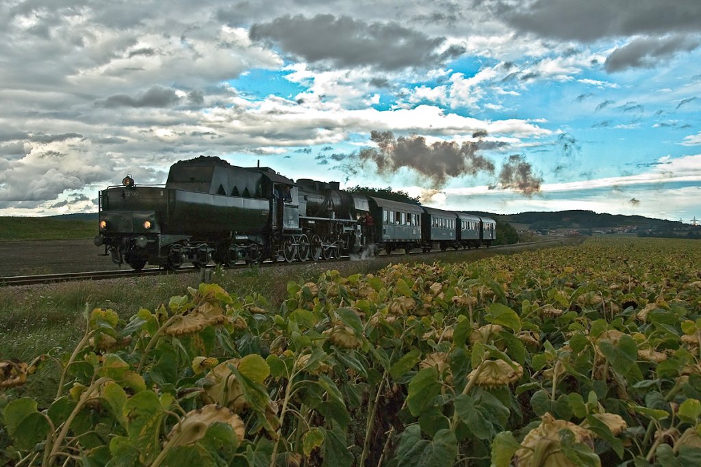 Sogar die Sonnenblumen sind schon schlafen gegangen, als an diesem herbstlichen Augustabend die BR 52 100 mit dem REX 7399 die Fotostelle kurz anch Stetten Fossilienwelt passierte. Die Aufnahme ist am 28.08.2010 entstanden.