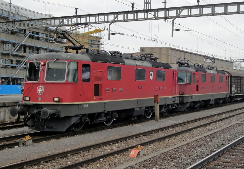 Sonderfall: Die Re 4/4  11239  Porrentruy  befindet sich am 15.04.10 mit zwei modernisierten Achsen in Rotkreuz vor einem GZ, welcher sie mit der 11247 zum RBL ziehen wird. Sie ist die einzige Re 420 der SBB mit einem Wappen.