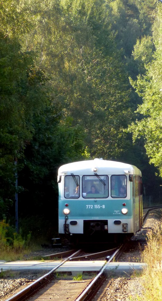 Sonderzug durch Zeulenroda Leichtverbrennungstriebwagen LVT 772 155-8. Foto 16.09.12
