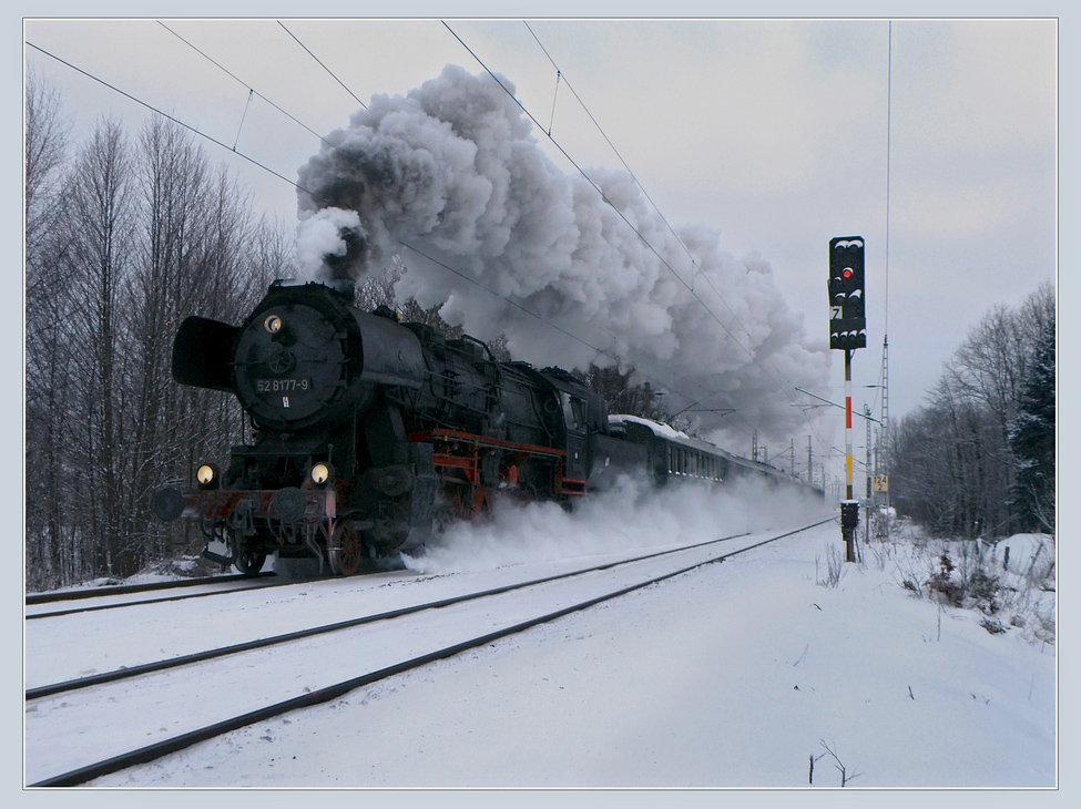 Sonderzug nach Dresden bei Elsterwerda, 2011