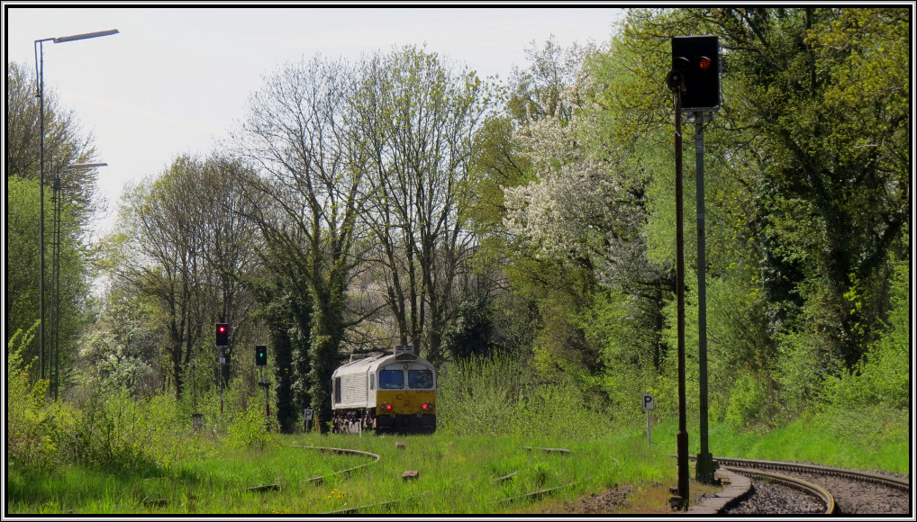 Sonntagsgre aus Flandersbach. Eine Class66 auf Rckfahrt ins Ruhrgebiet.
Jetzt geht es erstmal durch das Angerbachtal bis nach Ratingen.
Bildlich festgehalten Anfang Mai 2013.