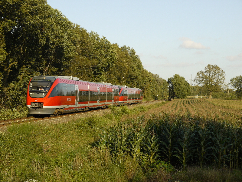 Sowas nennt man Glck gehabt. Super Wetter und einer der den Redesing 643 052 komment aus Mnster. 13.09.2011