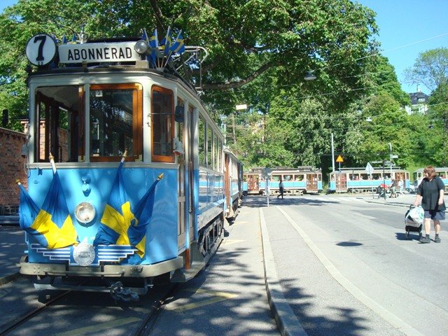 SS 143 bei Liljevalcs/Gr�na Lund 31 mai 2009 (Sp�rv�gens Dag)