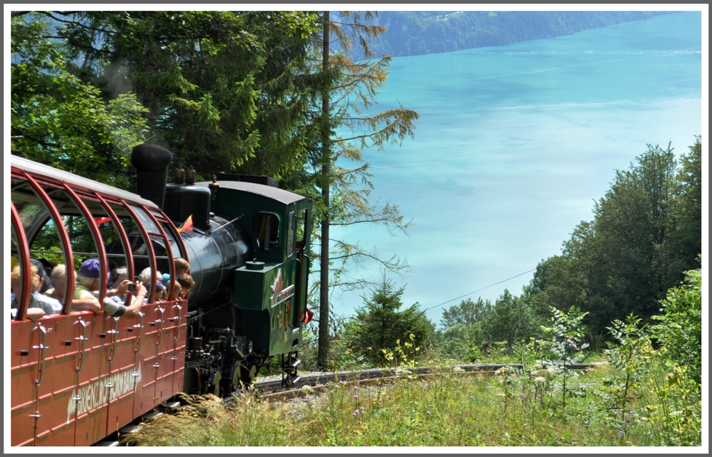 Steil gehts bergab oberhalb von Geldried, wo der Blick auf den Brienzersee frei wird. (03.08.2012)