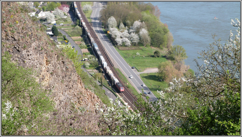Steil hinunter geht der Blick vom Erpeler Ley aus auf die rechte Rheinstrecke bei
Linz. Ein Gterzug fhrt gerade in Richtung Bonn. Bildlich festgehalten im April 2013.