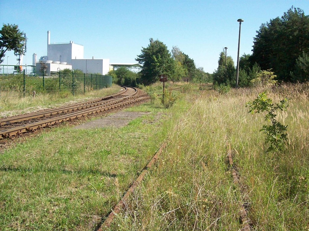 Stillgelegtes zweites Gleis am Bahnbergang Angermnder Strae der Industriebahn Eberswalde.
links Abzweig zum Binnenhafen, 31.08.2008