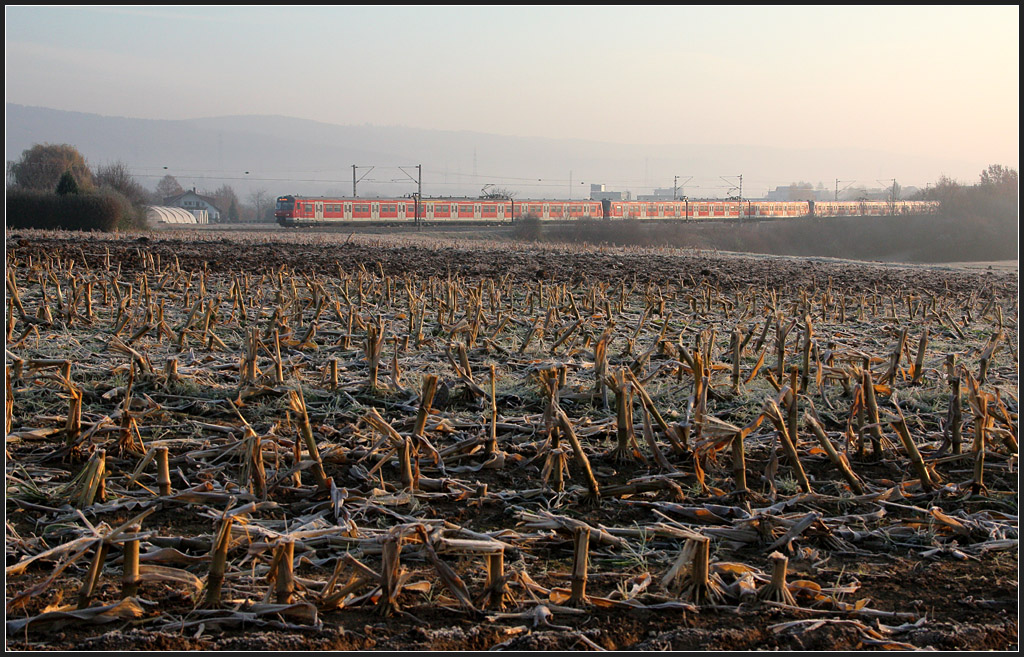 Stoppelfeld vor Langzug - 

Zug der Stuttgarter Linie S2 bei Weinstadt-Endersbach. 

19.11.2011 (M)