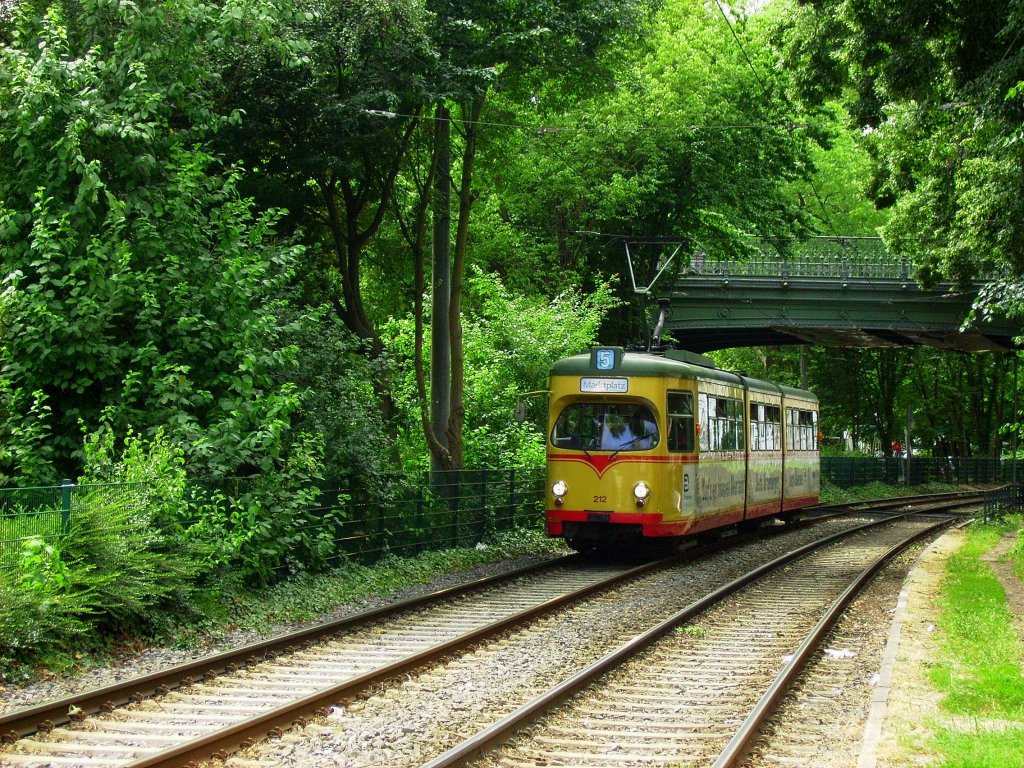 Straenbahn im Dschungel? Nein, ehr Straenbahn mit viel Bezug zur groen Eisenbahn!
Auch wenn es nicht ersichtlich ist wo hier der zusammenhang bestehen soll, aber es gibt einen. Denn auf der Trasse der Straenbahn verliefen, bis zur Verlegung des Karlsruher Hauptbahnhofes im Jahre 1913 (also vor 100 Jahren), hier die Zufahrtsgleise des alten Hauptbahnhofes aus Richtung Pfalz und Mannheim (ber Graben-Neudorf). Zwar noch nicht hundert aber schon einige Jahre alt ist Tw 212 der VBK, welcher am 22.06.2013 die Hirschbrcke, welche noch vom ehemaligen Bahnhof zeugt, unterquert.