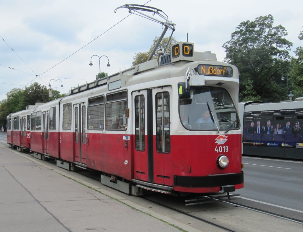 Straenbahn der Linie D in Richtung Nudorf am 6.7.2013 am Burgring.
