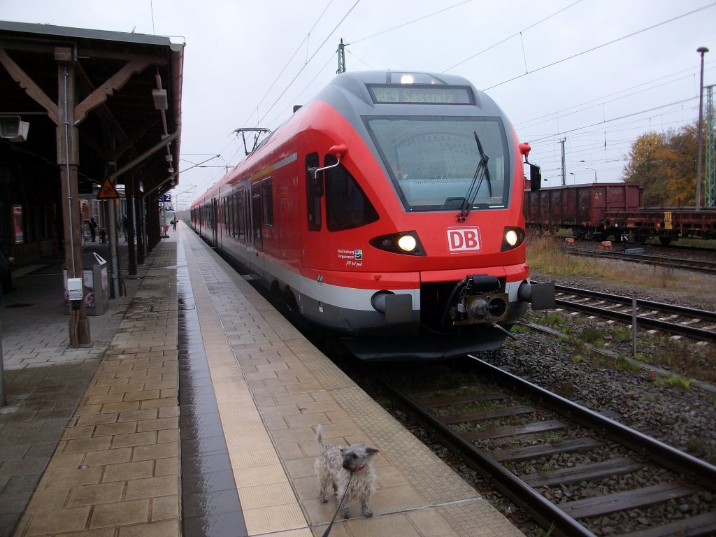 Strolch und Flirt 429 027 am 24.Oktober 2010 auf dem Bahnhof Bergen/Rgen.