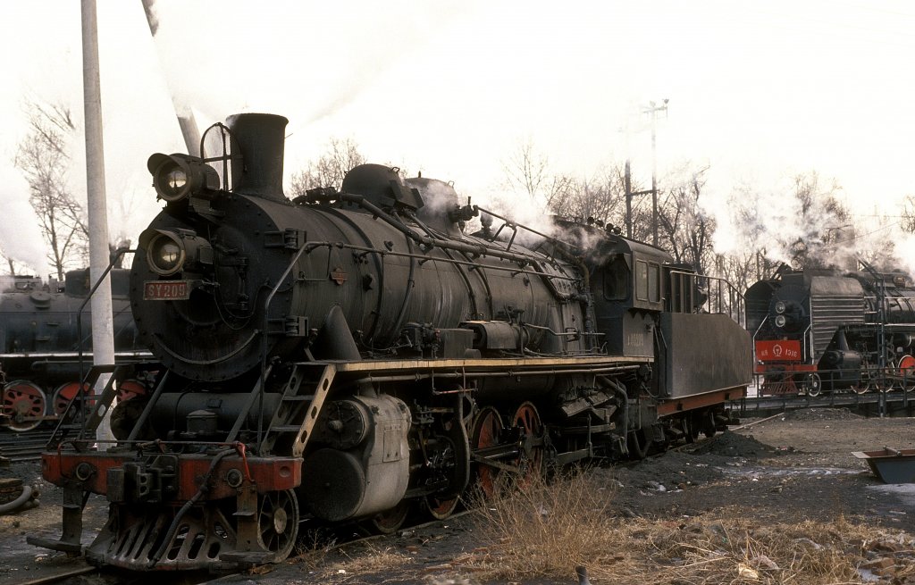 SY 0209  Ling Shan  06.01.93