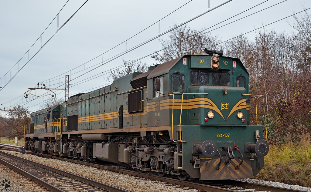 SZ 664-107 + 644-022 fahren durch Maribor-Tabor. / 06.12.2011