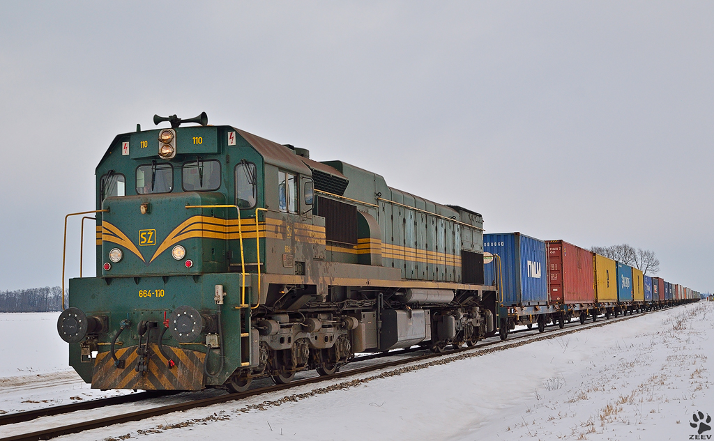 SZ 664-110 zieht Containerzug durch Gaj bei Pragersko Richtung Hafen Koper. / 15.02.2012