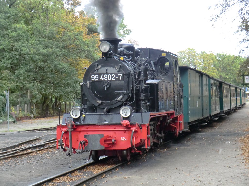 Tag 5: Eine Fahrt mit dem  Rasenden Roland  musste noch sein. Wir entschieden uns fr Ghren! An der Endstation konnte ich die 99-4802 nach dem Rangieren ablichten. (Ghren, 15. Oktober 2010)