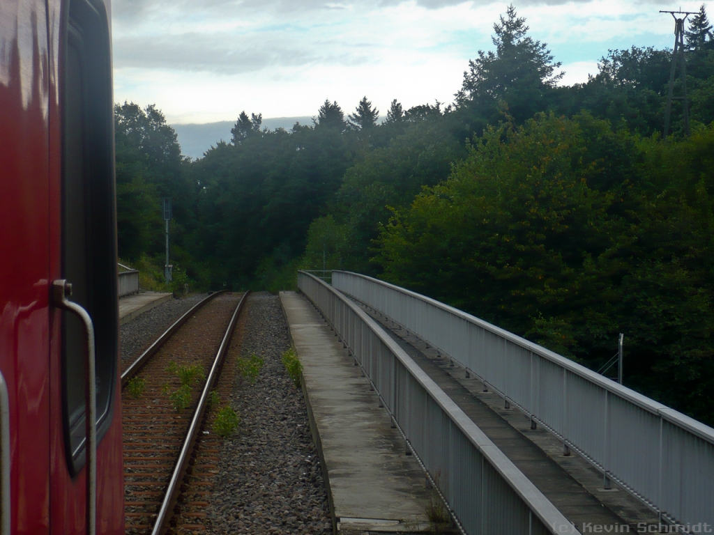 Tag 6: Jetzt geht's bergab! Gerade ist unsere RB aus Boppard-Buchholz abgefahren. Kurz vor dem starken Gefälle in Richtung Boppard Hbf konnte ich dieses Bild aus dem Fenster heraus machen.