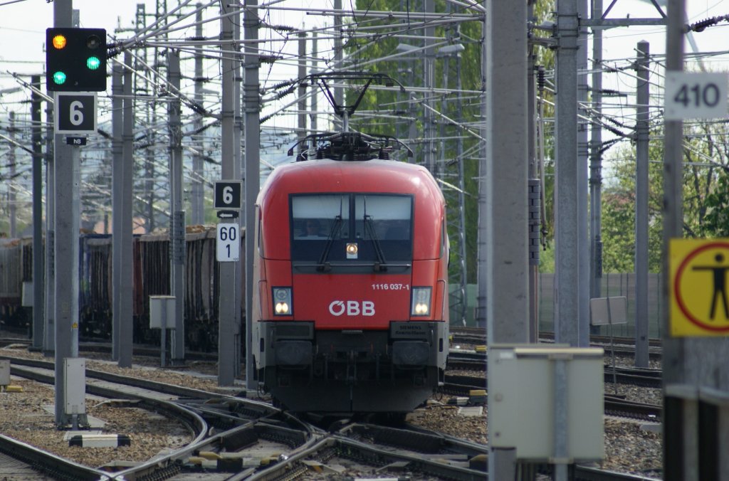 Taurus 1116 037 fahrt mit einem gemischten Gterzug kommend von Wien gleich durch den St.Pltener Hauptbahnhof Richtung Linz. 1.5.2010