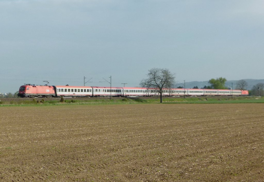 Taurus 1116 101 und am schluss 1116 199 sind mit dem IC 1113 Frankfurt (Main) - Klagenfurt am 27.04.2012 bei Ltzelsachsen