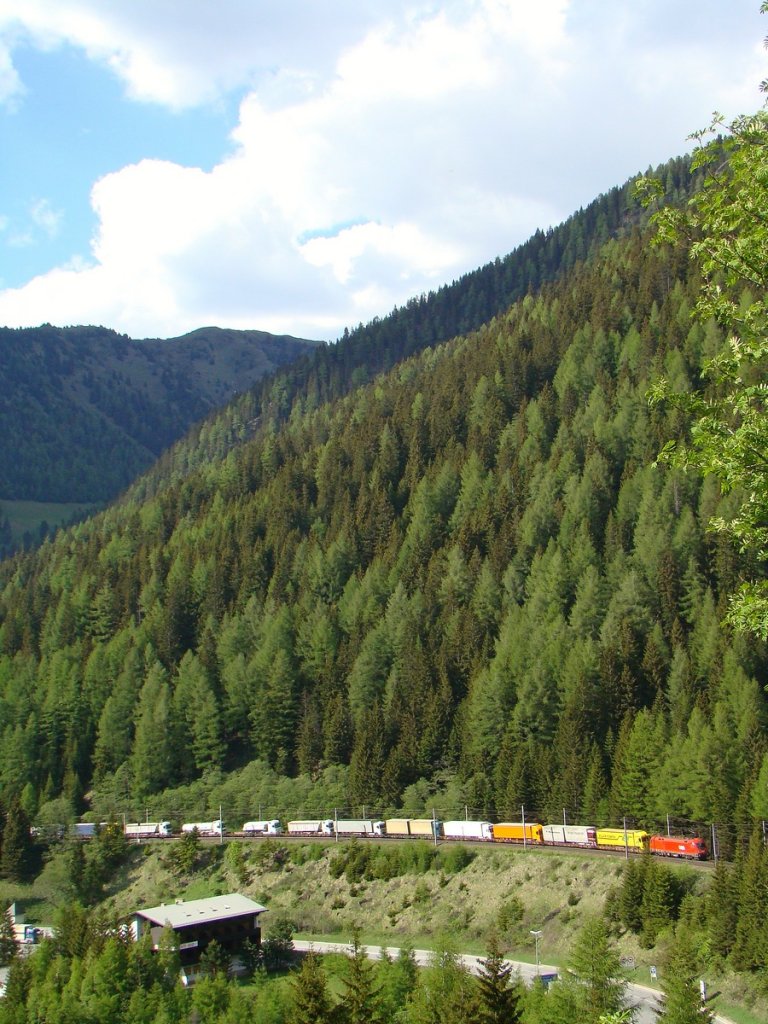 Taurus mit Rola kurz vor Brennersee. 19.05.2011