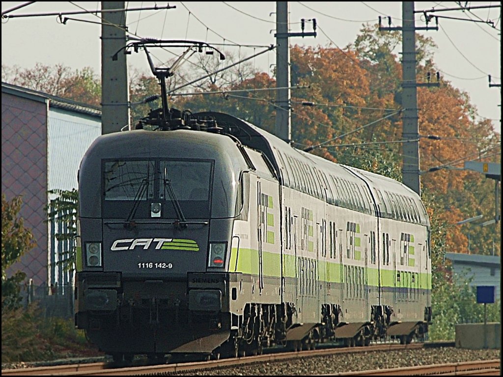 Teleaufnahme der 1116 142 mit dem CAT um 14.42 Uhr nahe des Zentralverschiebebahnhofes.