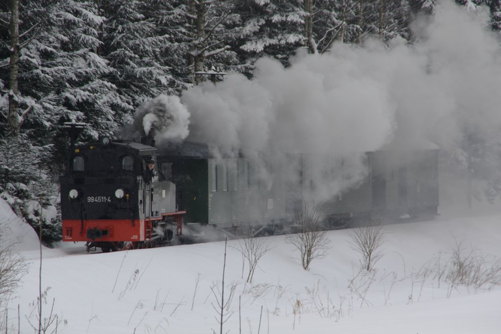 Teleaufnahme (200mm) von 99 4511, die am 13.02.2010 zwischen Schmalzgrube und Steinbach unterwegs war.