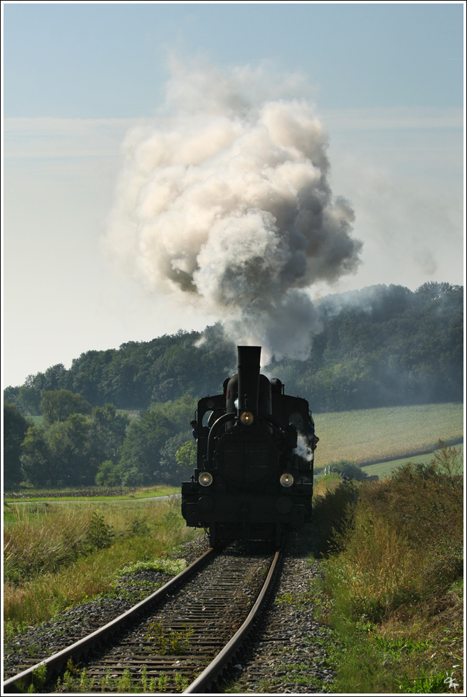 Teleaufnahme der Dampflok 17c372, welche mit EZ 7392  Leiser Berge  von Korneuburg nach Ernstbrunn fhrt.
Wetzleinsdorf 24.9.2011 

