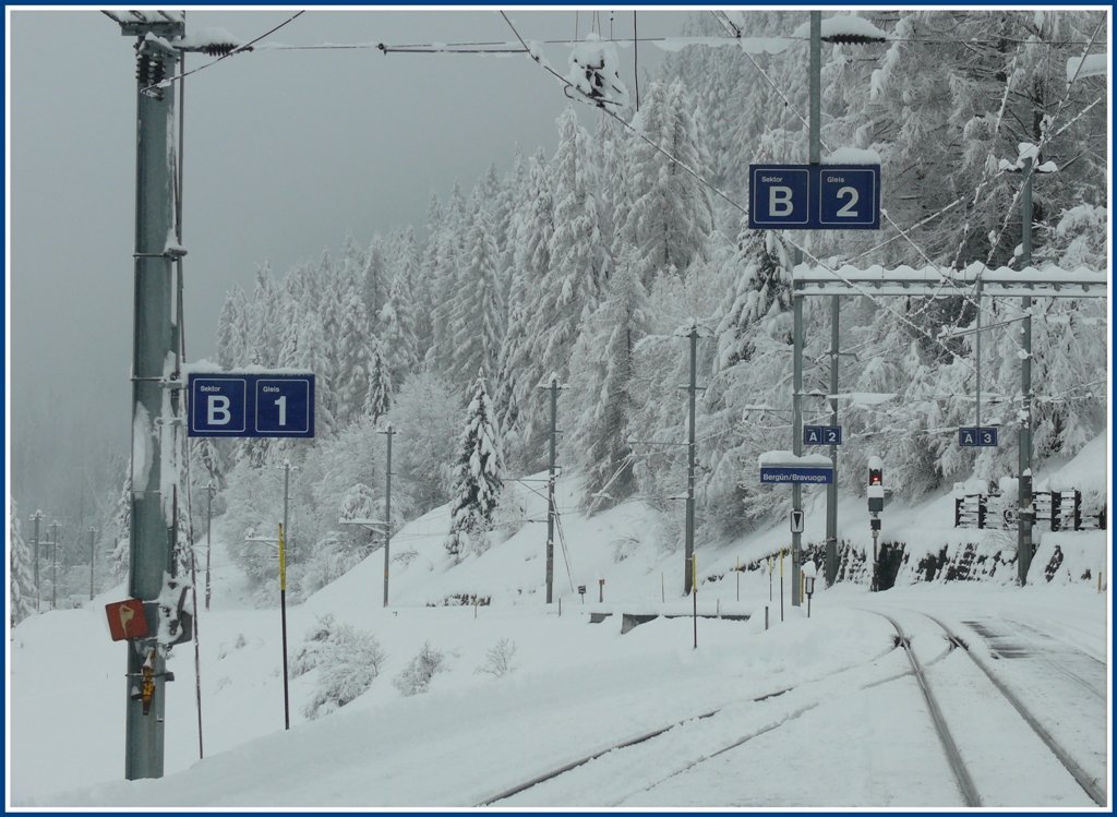 Tiefverschneites Bergn/Bravuogn. (01.12.2009)