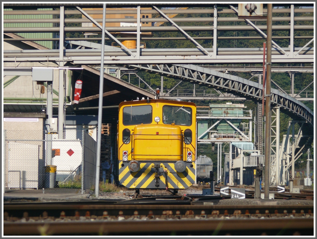 Tm 237 868-5 in einem Anschlussgleis in Auhafen. Die Auswahl an verschiedenen Rangierfahrzeugen ist vielfltig und die Hafenanlagen sind allesamt durch Wander- und Fahrradwege gut erschlossen. (21.09.2010)