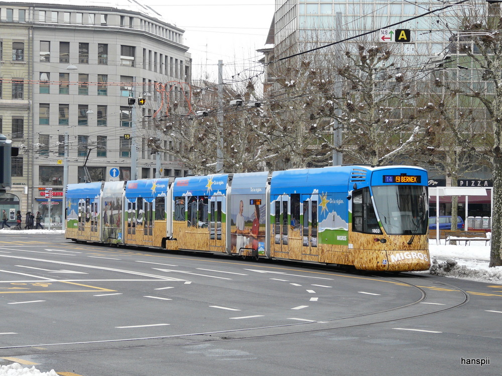 tpg - Tram Be 6/10 1803 unterwegs auf der Linie 14 in Genf am 14.02.2013