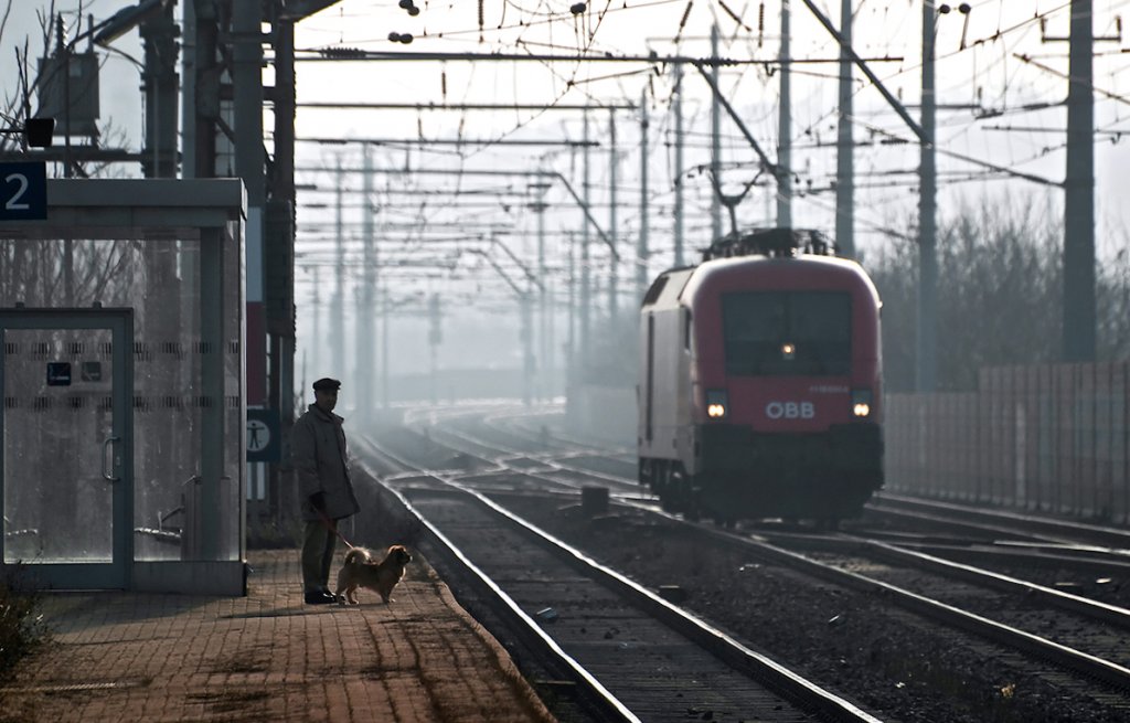 Trainspotting mit Hund. Wien Haidestrae, am 07.01.2011.