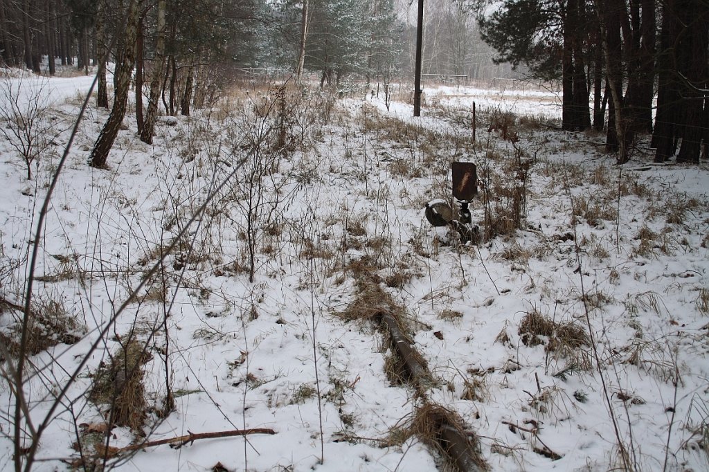 traurige berreste der 1995 stillgelegten Anschlubahn zum Imprgnierwerk Hubertusmhle kurz vor den Werkstoren