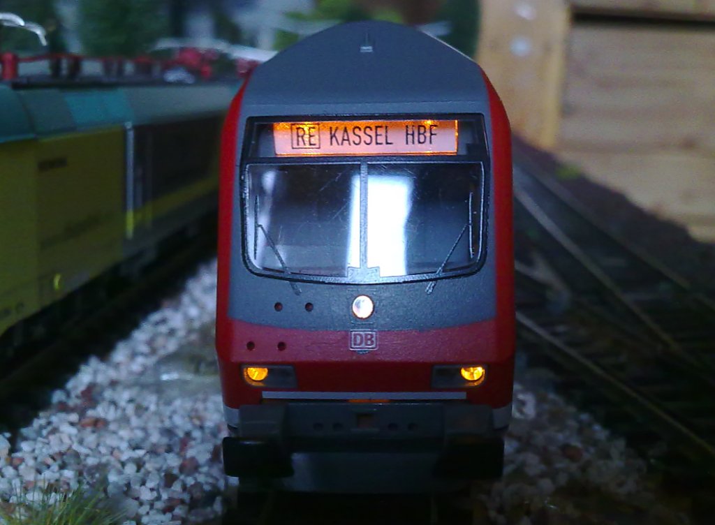 Triebkopf des Dostos mit Licht