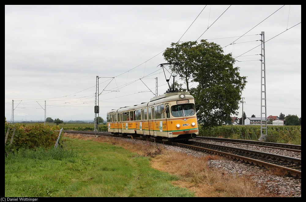 Triebwagen 1017 nahe Gnheim.