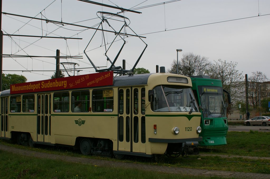 Triebwagen 1120 mit Beiwagen 2002 an der Endstelle Diesdorf 
zum 40. Jahrestag der Tatra in Magdeburg und daneben der NGT 1365