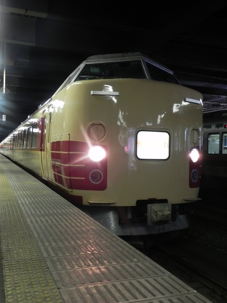 Triebwagen der 183er Serie in der Station Utsunomiya auf dem Gleis nach Nikko. Hier im Einsatz als gemieteter Zug mit mehreren Schulklassen darin.