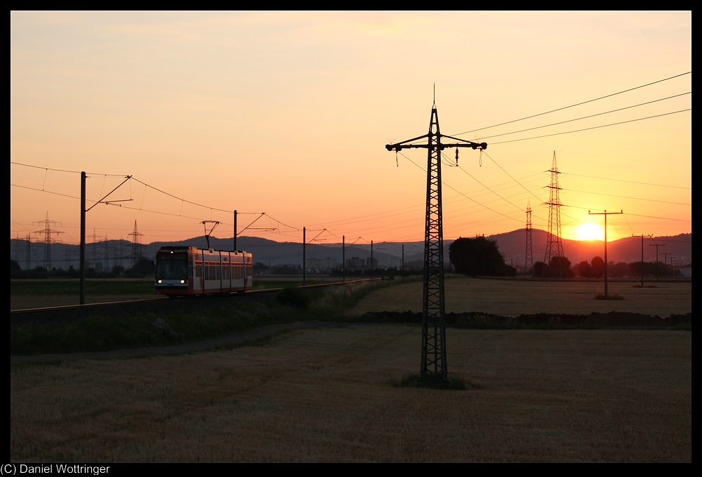 Triebwagen 209 am frhen Morgen des 19. Juli 2010 zwischen Heddesheim und Wallstadt.