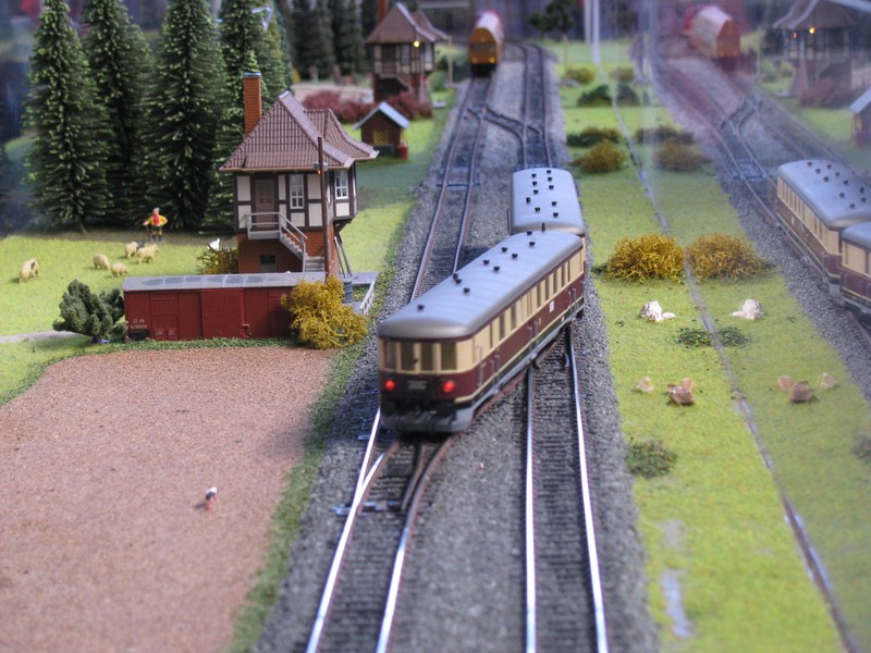 Triebwagen-Verkehr wie zur DRG/DR-Zeiten auf der Spur H0-Anlage des MEC Karow-Lbz, Bw Schwerin 27.09.2009