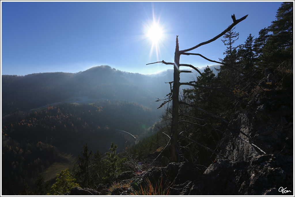 Trotz Mittagssonne versuchte ich diese Gegenlichtaufnahme vom EC 102  Polonia  am Adlitzgraben-Viadukt.
Semmering 17.11.2012