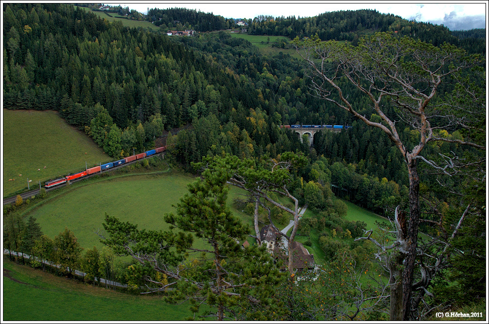 Trber Tag am Semmering: Meinen Standpunkt auf der sogenannten Pfefferwand passiert diese Container-Kist´n mit 42er Vorspann vor 1116. Leider hielt das Wetter nicht das, was es in Wien versprochen hat...., Klamm-Schottwien, 14.10.2011 