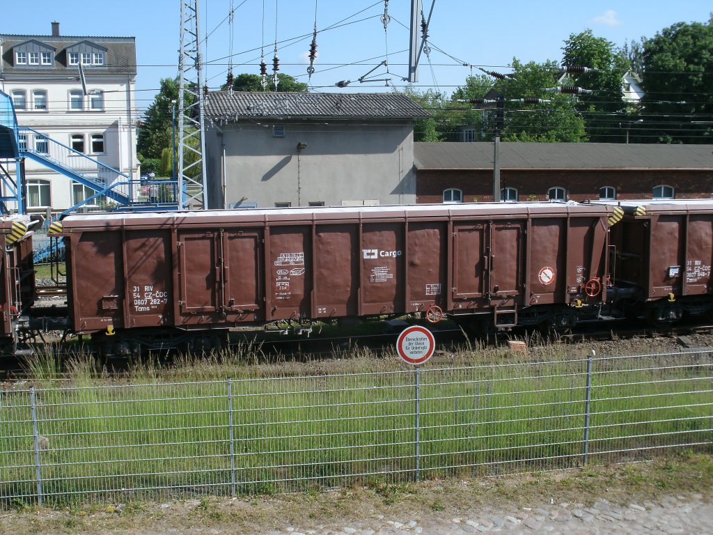 Tschechischer Tams(Ordnungsnr:31 57 0807 282-7),am 11.Juni 2013,in Bergen/Rgen.