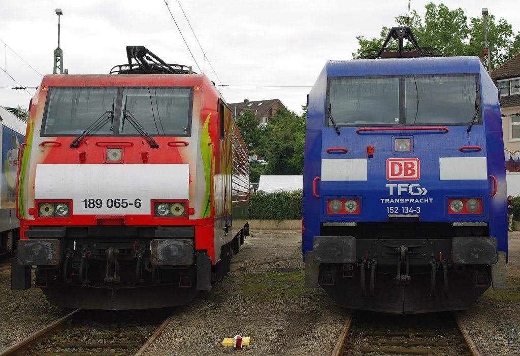 Tulpen neben Albatros: 189 065-6 neben 152 134-3 w�hrend des Fests in Osnabr�ck. Aufgenommen am 19.09.2010.