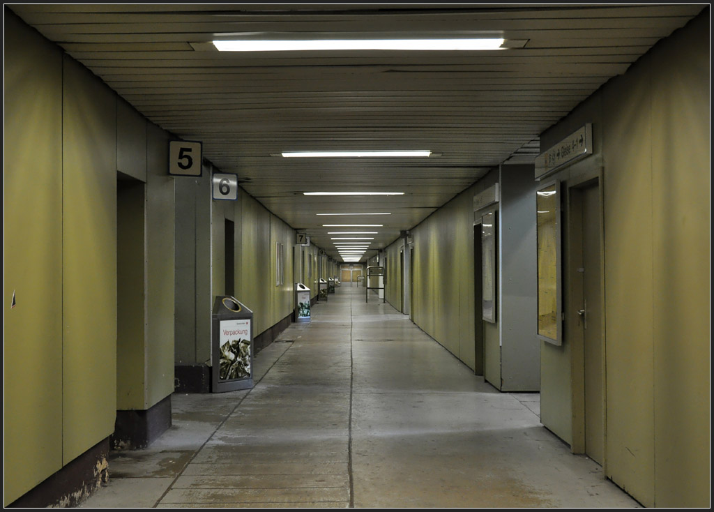 Tunnel trotz Kopfbahnsteig - 

Der Stuttgarter Hauptbahnhof hat, obwohl Kopfbahnhof, auch eine Fußgängerunterführung. Die Münchener und der Frankfurter Hauptbahnhöfe haben solche Tunnel, wenn ich mich nicht täusche, nicht. Hier in Stuttgart können so die Umsteigewege verkürzt werden, auch besteht von hier aus eine Verbindung zum S-Bahn-Tiefbahnhof. 

03.11.2011 (M)