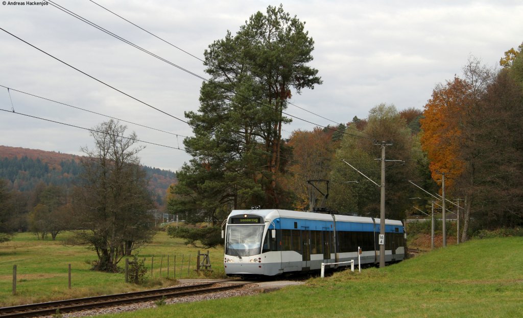 TW 1028 der Saarbahn als Sonderzug bei Marxzell 29.10.11