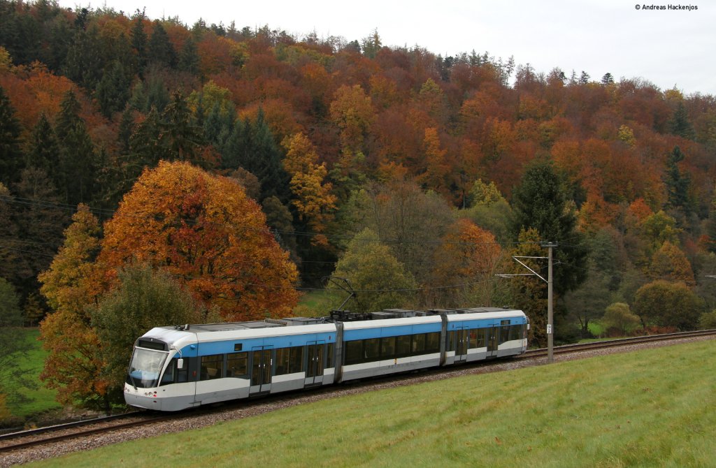 TW 1028 der Saarbahn als Sonderzug bei Marxzell 29.10.11