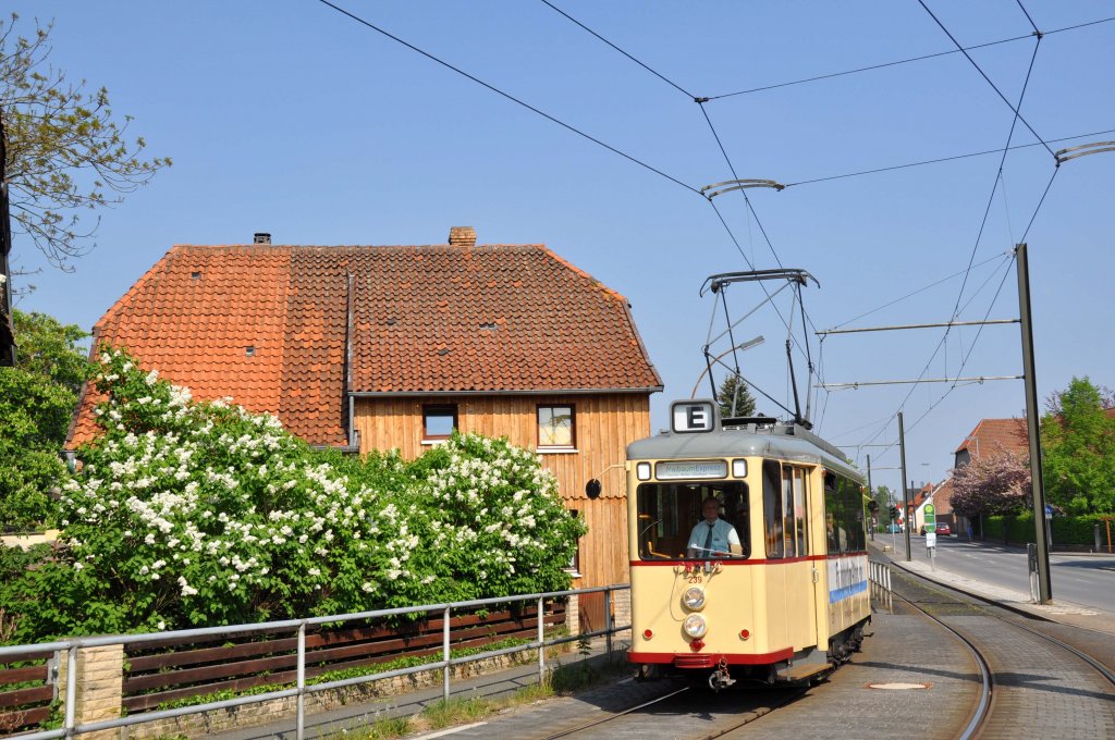 Tw 239 als  MaibaumExpress  bei Heisede (01.05.2012)
