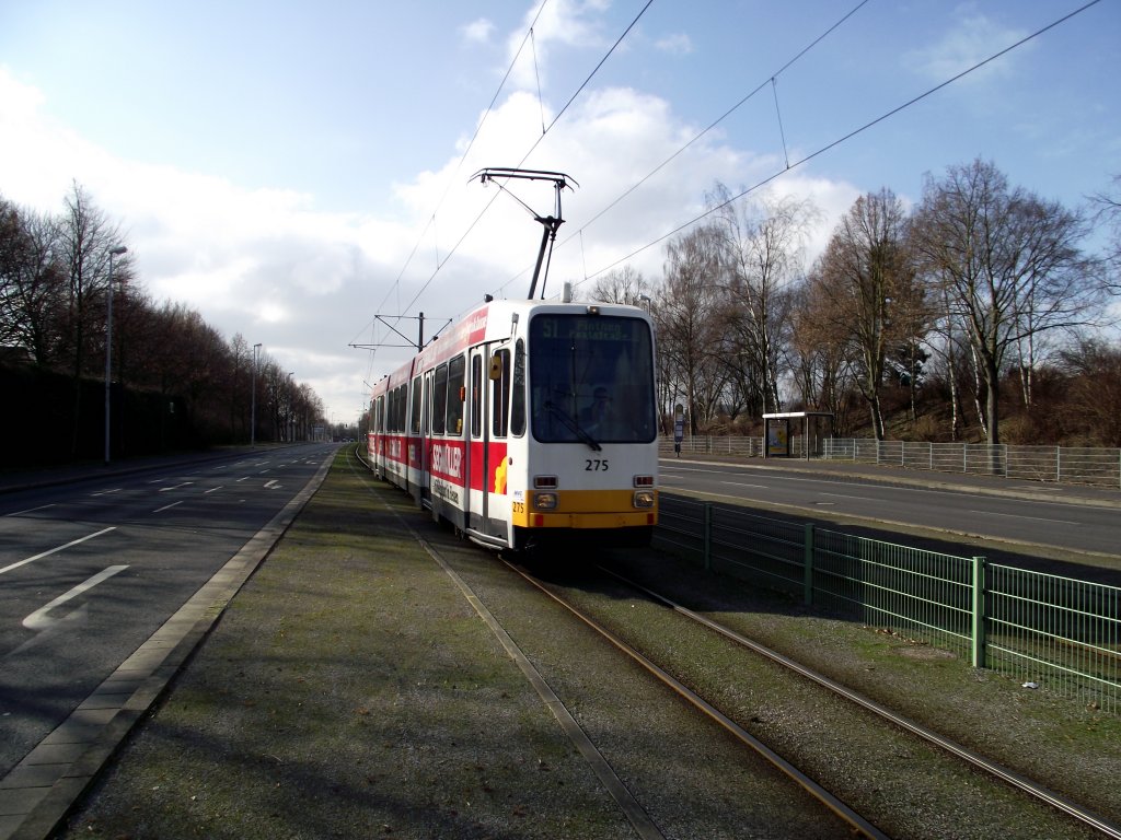 Tw 275 alias Dwag M8C der MVG in Mainz am 21.02.13 auf der Linie 51