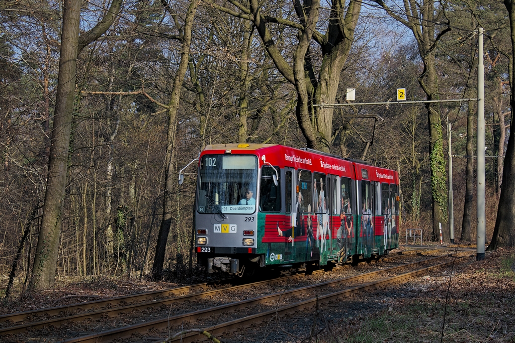 Tw 293 und 294 tragen bis heute Vollwerbung fr die Sparkasse. Ersterer ist kurz vor der Endhaltestelle, an der eine Wendeschleife mitten durch den Wald existiert