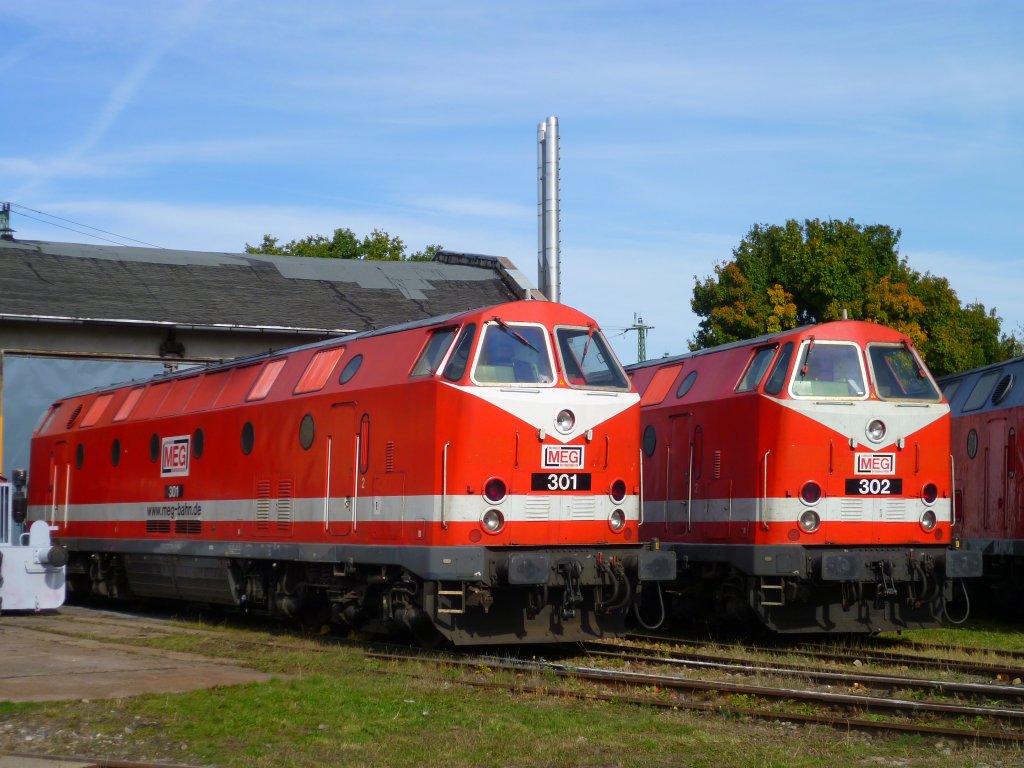 U-Boot und Ludmilla Treffen in Weimar am 13.10.12. Zusehen sind MEG 302 (229 173) und MEG 301 (229 120).

