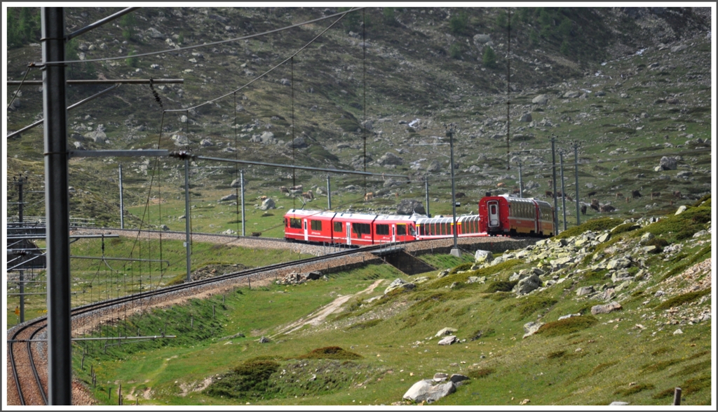 ber die Alp Bondo schlngelt sich der BEX951 bergwrts Richtung Ospizio Bernina. (21.06.2012)