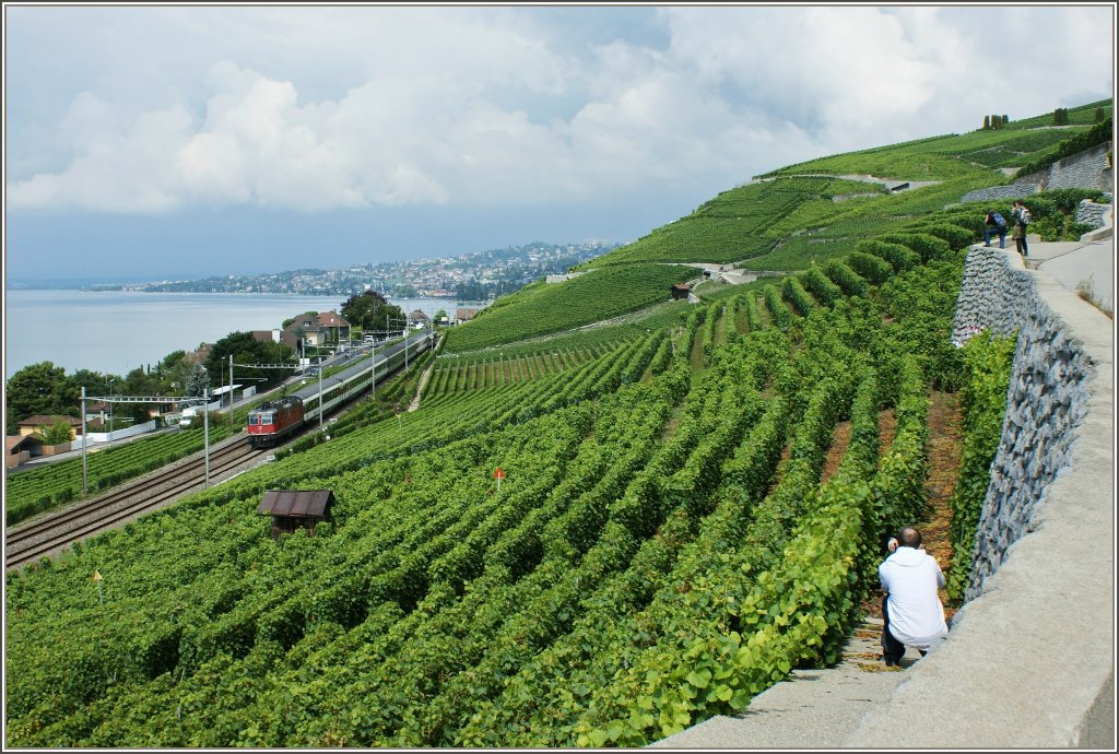 ber eine Re 4/4 II vor einem IR von Genf nach Brig freuten sich einige Fotografen. Bei Villette (VD) am 28.07.2011
